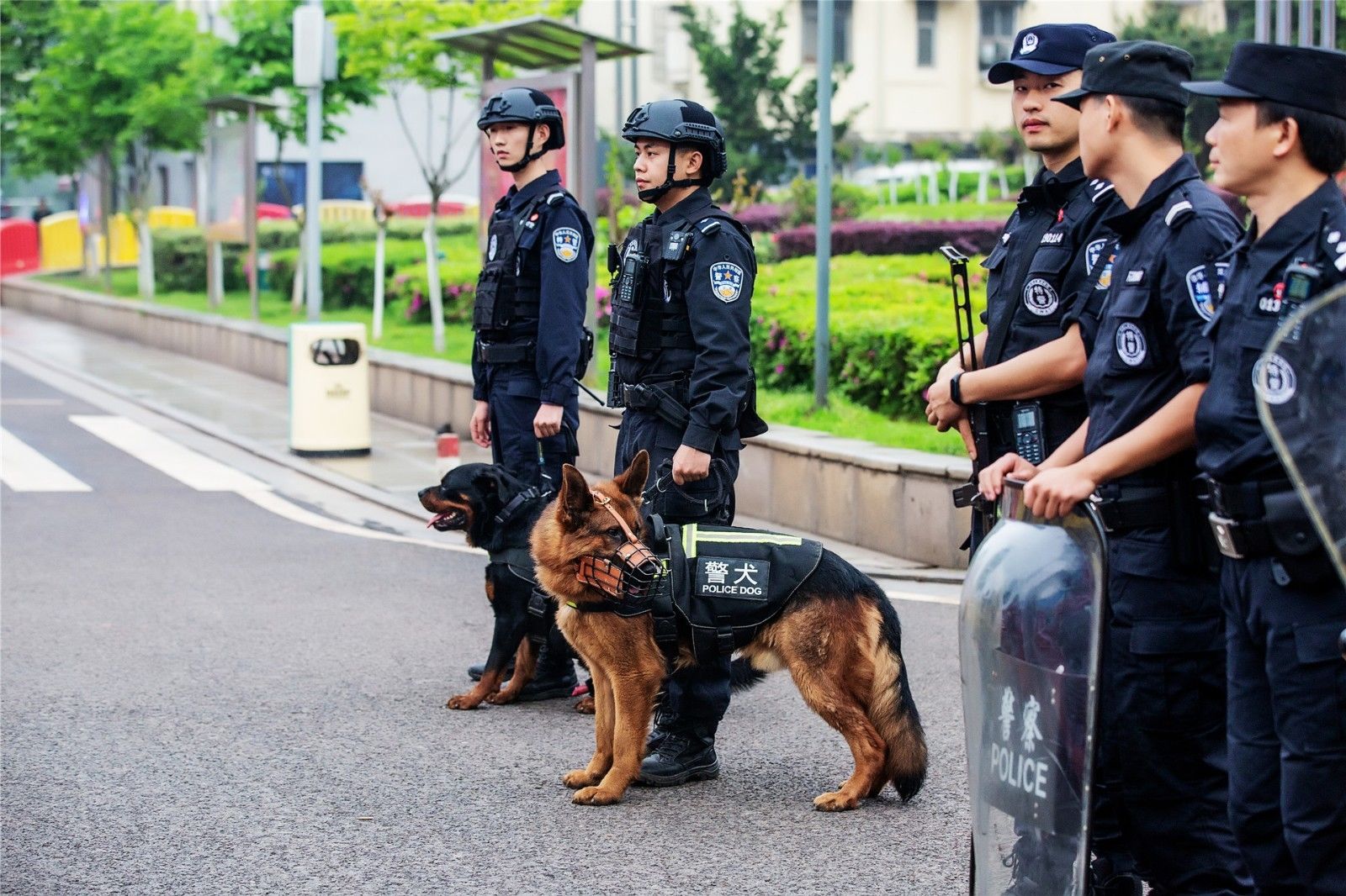 乐动·网站在线官网-乐动(中国)
