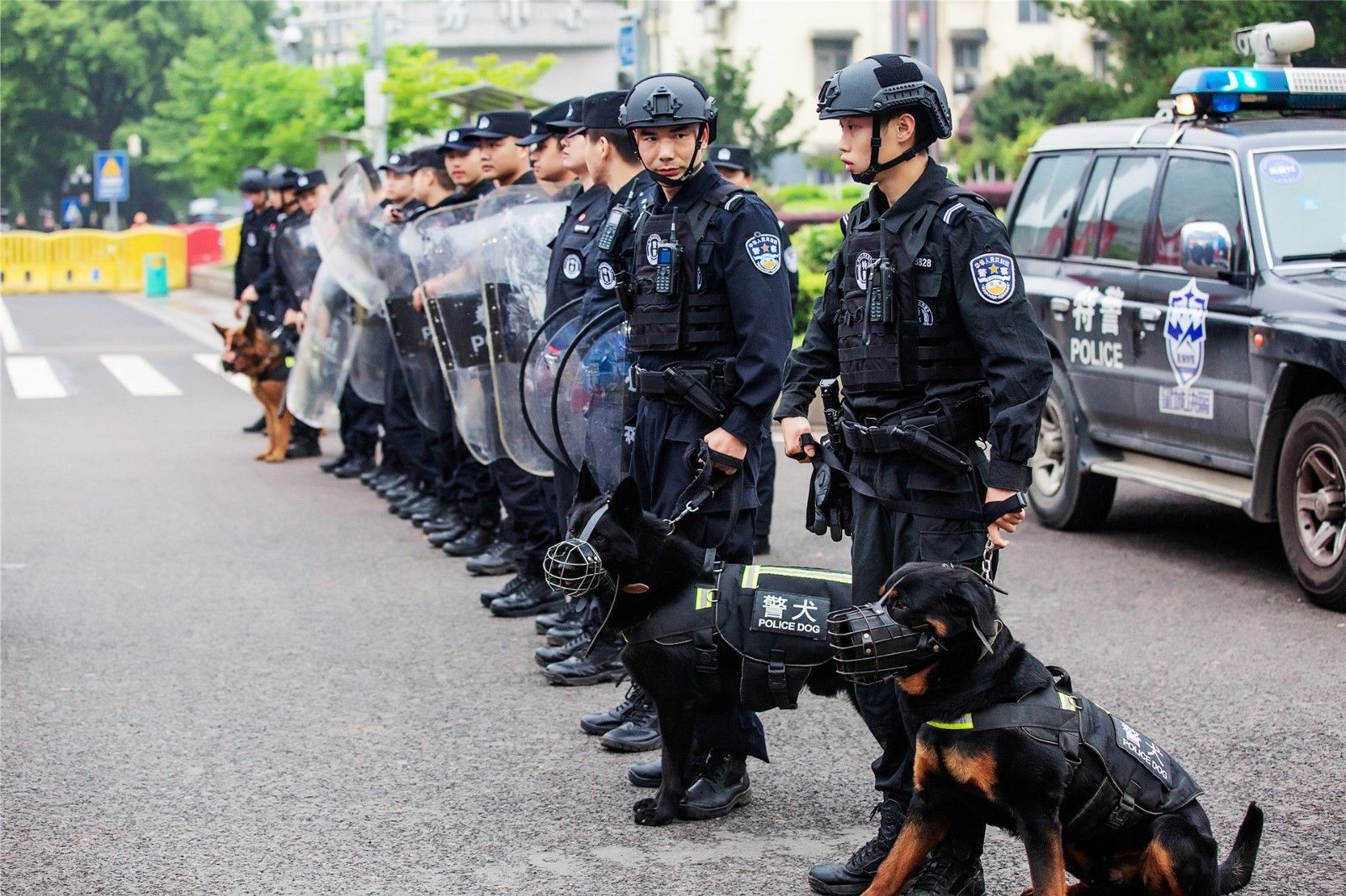 乐动·网站在线官网-乐动(中国)
