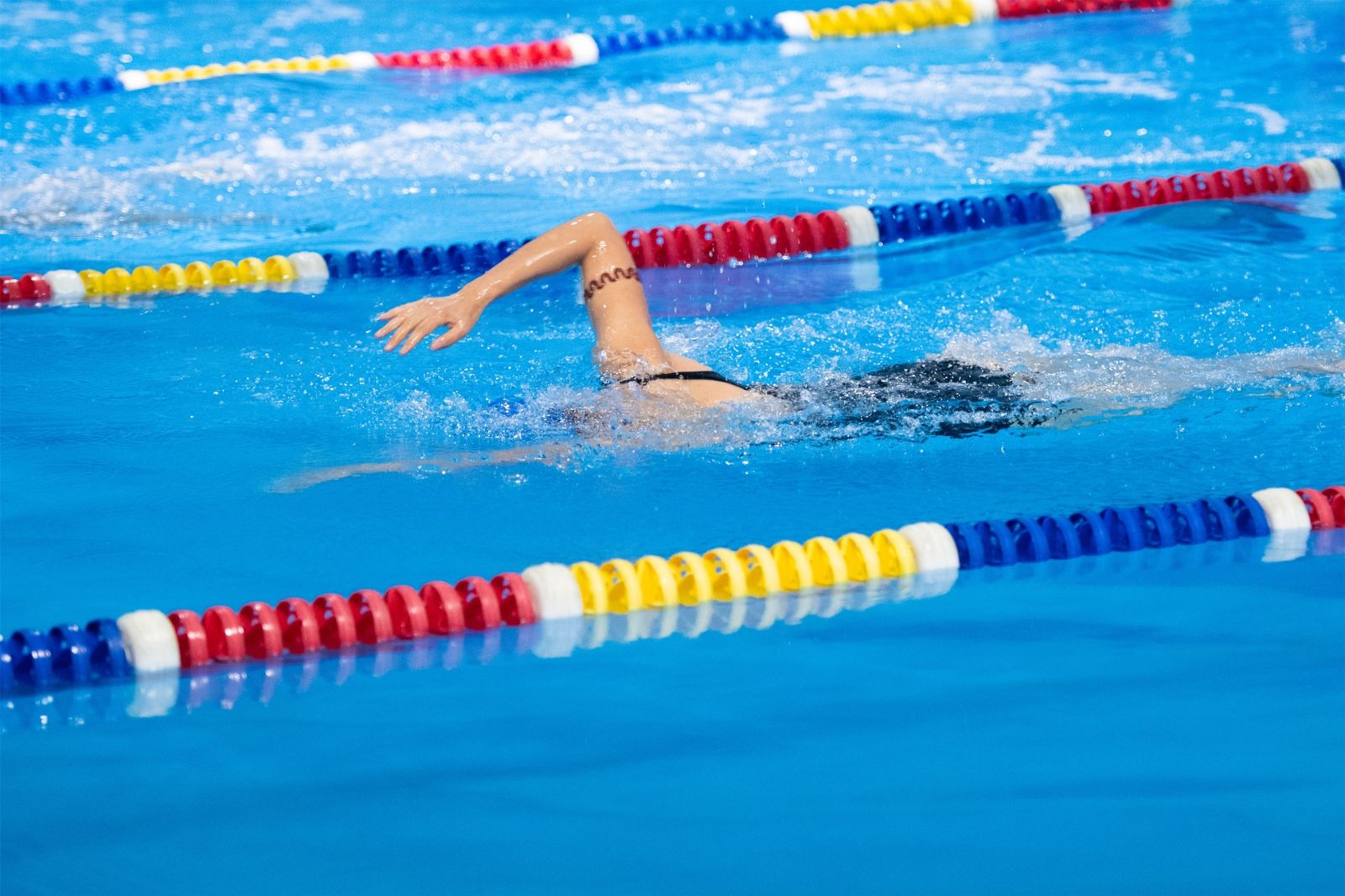 乐动·网站在线官网-乐动(中国)
