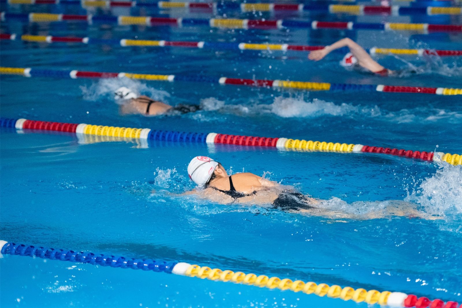 乐动·网站在线官网-乐动(中国)
