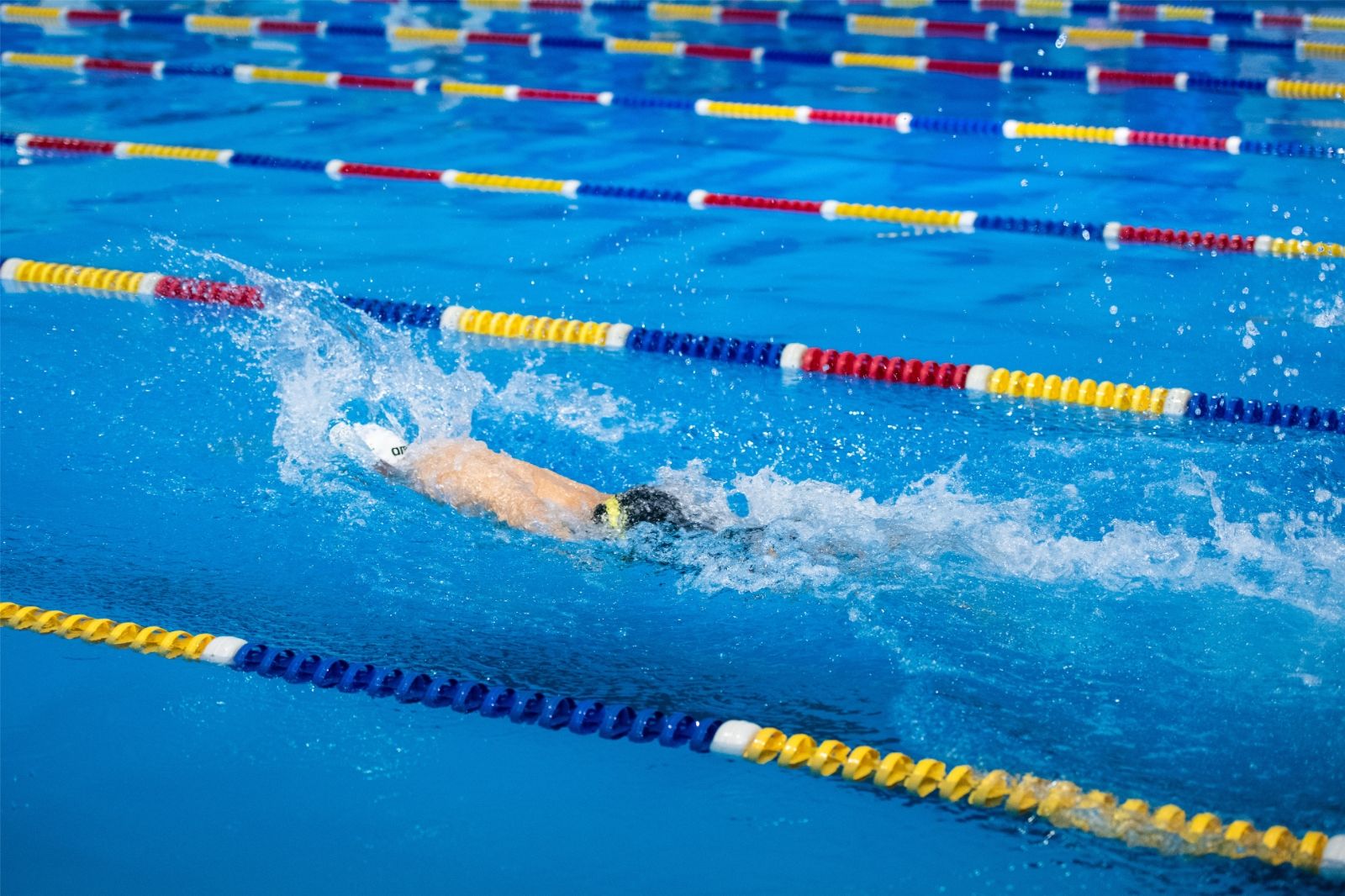 乐动·网站在线官网-乐动(中国)
